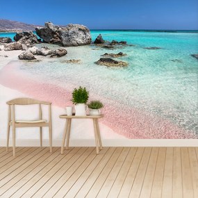 Fototapeta Vliesová More ružového piesku 312x219 cm