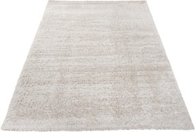 TA Koberec 6365A SVETLOSIVÁ VERSAY EJF BF