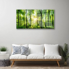 Obraz na akrylátovom skle Les príroda 100x50 cm