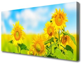 Obraz Canvas Slnečnica kvety príroda 100x50 cm
