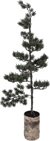 Dekoratívny svietiaci ihličnatý stromček na podstavci Bonsai Tree LED M - 30*35*100 cm / 3*AAA