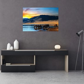 Obraz - Napájadlo (90x60 cm)