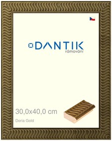 DANTIK rám na obraz 30x40 | Doria Gold (Plexi Čiré)