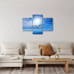 Obraz - Čajka nad morom (90x60 cm)