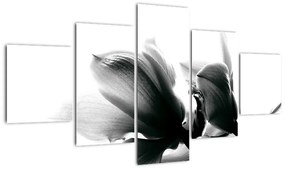 Obraz čiernobielych kvetov