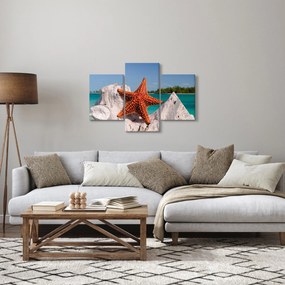 Obraz morskej hviezdice (90x60 cm)