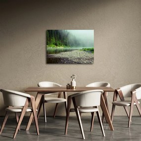Obraz - Rieka pri lese (70x50 cm)