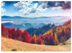 Obraz farebné jesenné krajiny (70x50 cm)