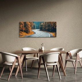 Obraz - Kľukatá cesta (120x50 cm)
