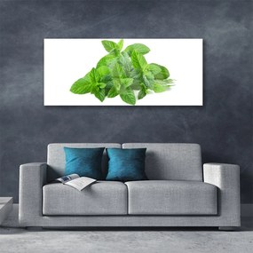 Obraz plexi Mäta rastlina príroda 125x50 cm