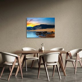 Sklenený obraz - Napájadlo (70x50 cm)