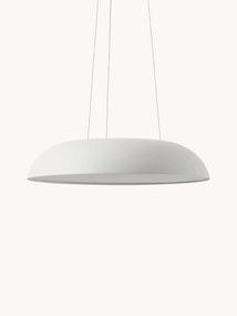 Velké závesné LED-svietidlo Maggiolone