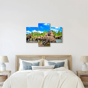 Obraz - Slony, Sri Lanka (90x60 cm)