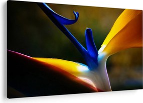 Obraz - Exotický kvet (90x60 cm)