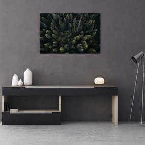 Obraz - Les (90x60 cm)