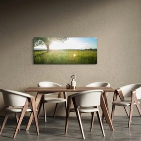 Obraz letnej lúky (120x50 cm)
