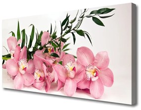 Obraz Canvas Orchidea kvety kúpele 120x60 cm