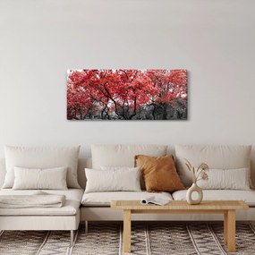 Obraz - Červené stromy, Central Park, New York (120x50 cm)