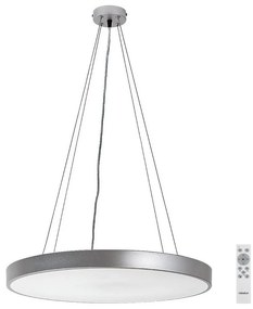 Rabalux 71042 - LED Stmievateľný luster na lanku TESIA LED/60W/230V strieborná + DO RL71042