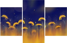 Obraz - Púpavy (90x60 cm)