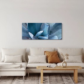 Obraz - Agáve (120x50 cm)