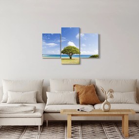 Obraz pláže so stromom (90x60 cm)