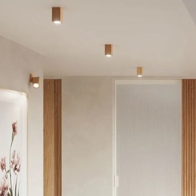 Sollux SL.1035 - Nástenné bodové svietidlo KEKE 1xGU10/40W/230V dub