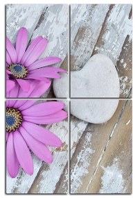 Obraz na plátne - Kvety a kamenné srdce - obdĺžnik 783D (90x60 cm)
