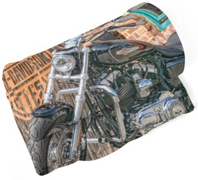 Sablio Deka Harley-Davidson 3 - 150x120 cm