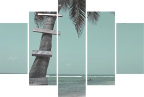 Obraz - Palma v Karibiku (150x105 cm)