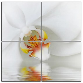 Obraz na plátne - Detailný záber bielej orchidey - štvorec 3223E (60x60 cm)