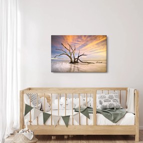 Obraz stromu v oceáne (90x60 cm)