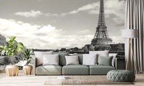 Fototapeta nádherná čiernobiela panoráma Paríža - 375x250