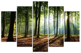 Gario Obraz na plátne Slnečné lúče v lese - 5 dielny Rozmery: 200 x 100 cm