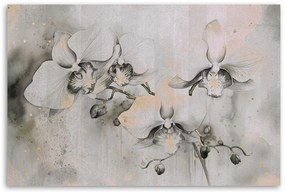 Gario Obraz na plátne Abstraktné kvitnúce orchidey Rozmery: 120 x 80 cm