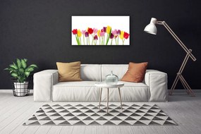 Obraz na plátne Tulipány kvety rastlina 100x50 cm