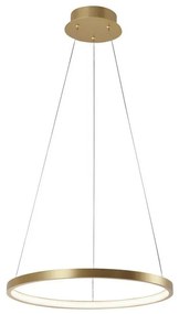 Leuchten Direkt 11522-12 - LED Luster na lanku CIRCLE LED/19W/230V