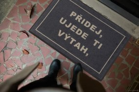 GDmats, Rohožka "Pridaj, ujde tí výťah" 40x60 cm – na von aj na doma, 40x60, šedá