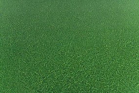 PVC podlaha Artifact Grass 025 imitácia trávy