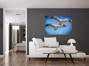 Obraz do bytu - vtáky