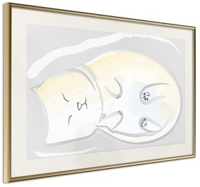 Artgeist Plagát - Sleepy Kitty [Poster] Veľkosť: 60x40, Verzia: Zlatý rám s passe-partout