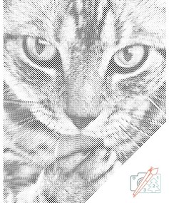 Gario Bodkovanie Maškrtná mačka Rozmery: 40 x 50 cm, Rámovanie: Iba zrolované plátno, Farba bodiek: Zelená
