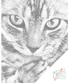 Gario Bodkovanie Maškrtná mačka Rozmery: 40 x 50 cm, Rámovanie: S vnútorným rámom, Farba bodiek: Červená