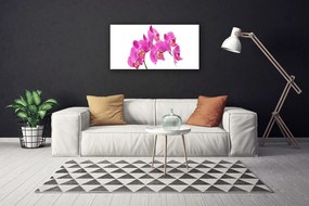 Obraz Canvas Orchidea kvety príroda 120x60 cm