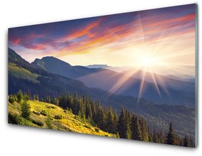 Obraz plexi Hora les slnko krajina 100x50 cm