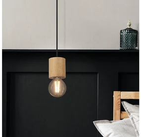 Eglo 901172 - Luster na lanku TURIALDO 1xE27/28W/230V EG901172