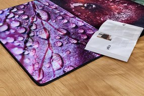Koberec / Behúň HD Beauty Rain