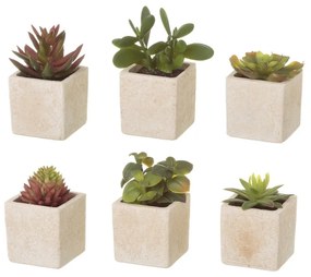 Umelé rastliny v súprave 6 ks (výška 9,5 cm) Cactus – Casa Selección