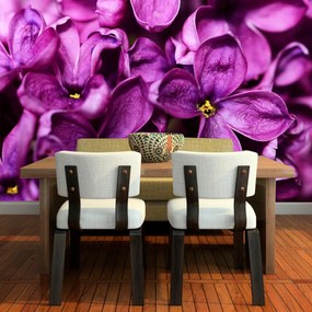 Sablio Tapeta Fialové kvety - 125x75 cm