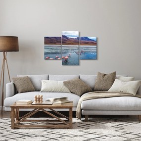 Obraz - Plameniaky (90x60 cm)